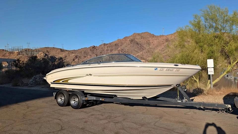 2000 Sea Ray 210 Signature