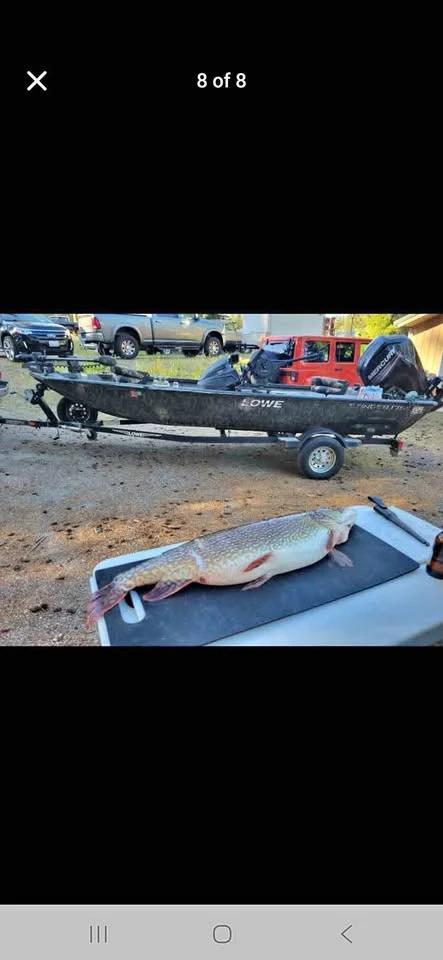 2019 Lowe Stinger 175 Lowe Stinger 175