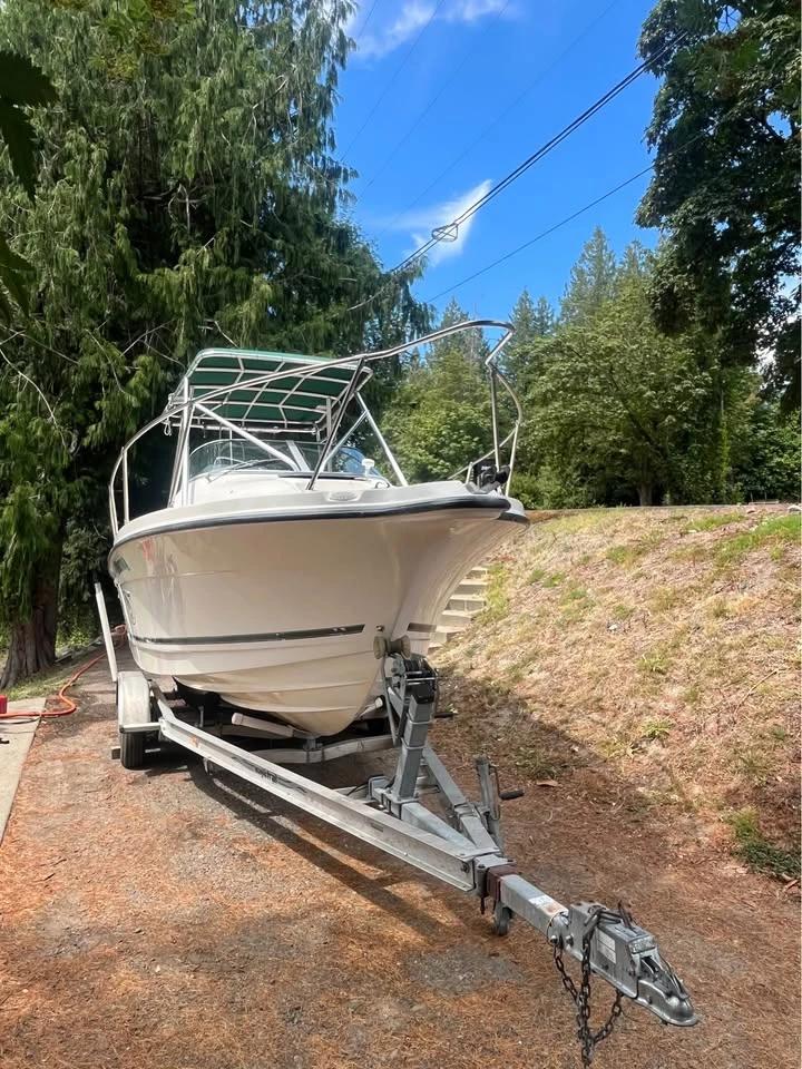 2001 Bayliner trophy 2002 2002 Walkaround