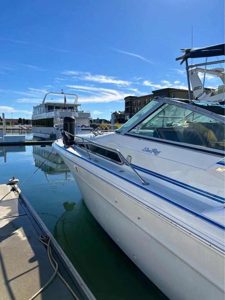 1990 Sea Ray Express Cruiser