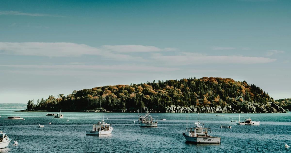 Best Boats Under $20,000 in 2026